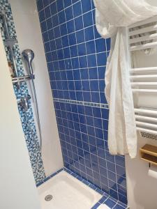 a bathroom with a blue tiled shower at La chambre du Villard in Saint-Béron