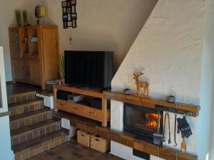 a living room with a tv and a fireplace at Holiday Home Stausee by Interhome in Biersdorf am See