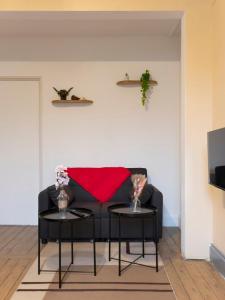 a living room with a couch with two tables at Hôtel des Cousines Capucine Apartment in Nancy +10 photos