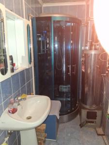 a bathroom with a shower and a sink and a toilet at Colț de Rai in Ciuruleasa