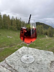 a drink in a glass sitting on a rock at Berghotel Türlwand in Ramsau am Dachstein