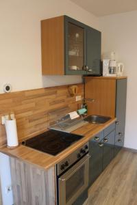 a kitchen with a stove and a counter top at Apartment Paula by Interhome in Neundorf