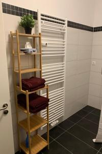 a bathroom with a towel ladder and a shower at Apartment Stadtwohnung by Interhome in Plauen