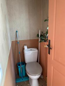 a small bathroom with a toilet with a mop at Maison dans le quartier de terre sainte Nicolas in Saint-Pierre