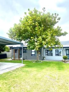 a tree in the yard of a house at Living Lite 1 and 2 in Kleinmond
