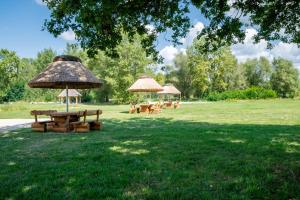 a group of picnic tables and umbrellas in a field at Klimatyzowane Apartamenty Miedź i Miód in Bytom Odrzański