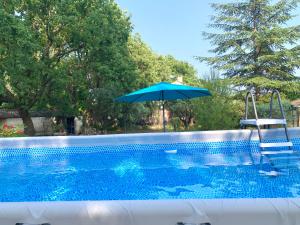 a pool with a blue umbrella and a chair and a swing at La maisonnette aux oiseaux - Vacances en Provence in Oppède