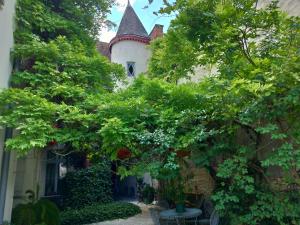 a building with a tree in front of it at Le Jardin Andrinople in Richelieu