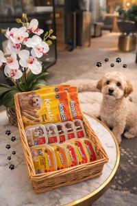 a dog is sitting next to a basket of food at Awen Hotel Vechta in Vechta