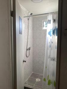 a bathroom with a shower with a shower curtain at Departamento Terraza in Molina +14 photos