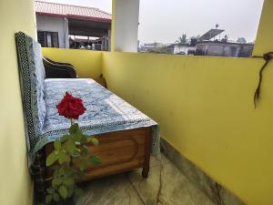 a red rose sitting on top of a balcony at Shivmandir Homestay in Siliguri