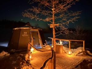 a yurt with a tree in the snow at night at Hedetangen AuroraHut wintertime in Lungsundet