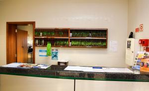 Afbeelding uit fotogalerij van Parque de Campismo Orbitur Canidelo in Vila Nova de Gaia