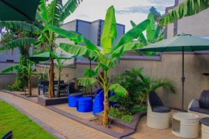 a row of palm trees and chairs and umbrellas at Moto-Moto Cottages in Mbarara