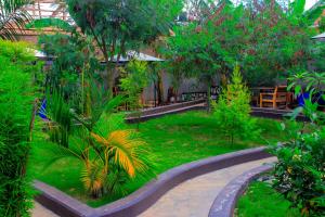 a garden with a walkway and trees and plants at Moto-Moto Cottages in Mbarara