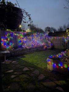 a garden with christmas lights on a fence at night at A Wee Cottage In Dunfermline in Dunfermline