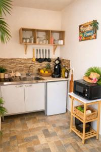 a kitchen with a sink and a microwave at Apartments Diva Flamingo in Barber