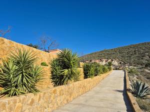 a pathway with palm trees on the side of a wall at Cresta Azul in Antas