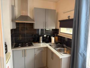 a small kitchen with white cabinets and a sink at Le studio du Faubourg in Nancy