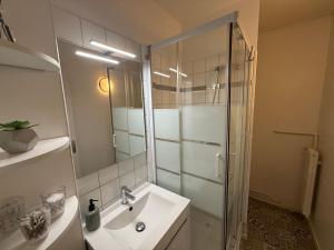 a bathroom with a sink and a glass shower at Le studio du Faubourg in Nancy