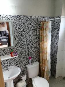 a bathroom with a toilet and a sink and a mirror at Cozy apartment close to everything in Asunción +13 photos