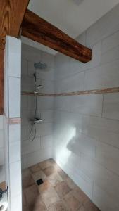 ein Badezimmer mit Dusche in einem Zimmer in der Unterkunft Oderlandblick Apartment in Friedersdorf