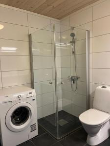 a bathroom with a washing machine and a toilet at Sauna & Mountain Views - Ski-in Ski-out Luxury in Vossevangen +22 photos