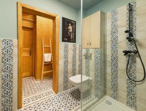 a bathroom with a toilet and a walk in shower at Heritage Villa Predelut - Fireplace & Baby Crib in Predeluţ +16 photos