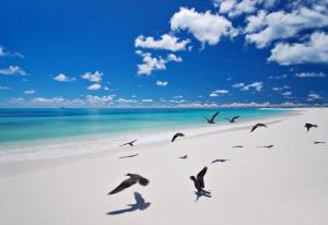 Gallery image of Bird Island Seychelles - Private Island Villas in Bird Island
