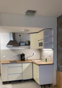 a small kitchen with white cabinets and a sink at VR Spa Apartman in Velence