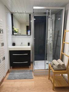 a bathroom with a shower and a sink at LE CHAMPENOIS-Appartement central près de l' Avenue de Champagne in Épernay +19 photos