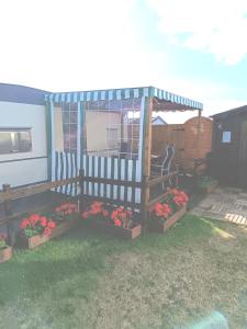 a garden with flowers in boxes in the grass at Mobil home inter in Berck-sur-Mer