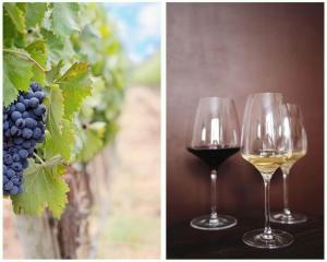 two wine glasses sitting next to a bunch of grapes at Studio Giannis, a breath away from Athens! in Neméa
