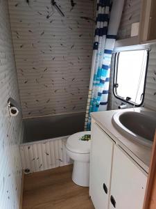 a small bathroom with a toilet and a sink at Mobil home inter in Berck-sur-Mer +8 photos