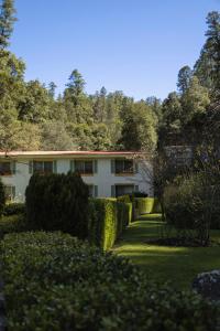 ein weißes Haus mit Büschen und Bäumen in der Unterkunft Hotel El Paraiso in Mineral del Chico