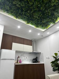 a kitchen with a ceiling with plants on it at Appart'Hôtel 23 Le Cocon Creusois Studio in Guéret