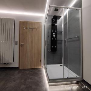a shower with a glass door in a bathroom at Ferienwohnung Jessica in Mastershausen +16 photos
