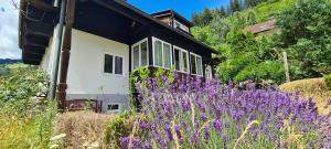 a house with purple flowers in front of it at Ferienwohnung Gartenglück im Mölltal in Semslach