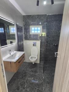 a bathroom with a toilet and a sink and a shower at Parnica Home 4 in Dudeştii Noi