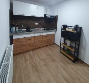 a kitchen with wooden cabinets and a counter top at Parnica Home 4 in Dudeştii Noi