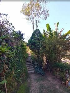 a set of stairs in a garden with trees at Pousada Céu aberto in Núcleo Mauá +1 photo
