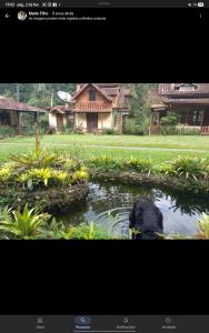 a dog swimming in a pond in front of a house at Pousada Céu aberto in Núcleo Mauá