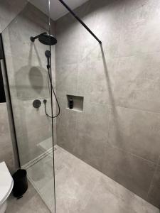 a shower with a glass door in a bathroom at Mediteran Line Apartman 2 in Sombor