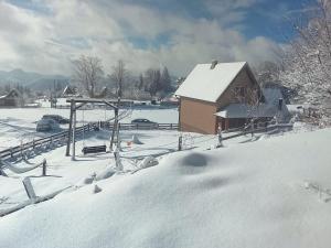 a snow covered yard with a building and a house at BiSER PANČIĆA in Sekulić 