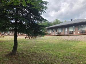 a tree in a field next to a building at Motel Domaine Expédition in Labelle