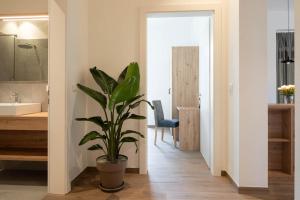a bathroom with a potted plant in the hallway at Villa Rosengarten Guesthouse in Merano +102 photos