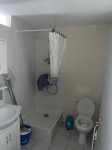 a bathroom with a shower and a toilet and a sink at Kaz'a Diamant in Le Diamant