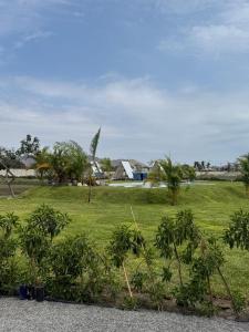 a field of grass with palm trees and houses at Club Positano Fundo Dell'Angelo in Mala