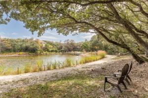 a bench sitting under a tree next to a river at Pappia - Duck, Sanderling, Oceanside, 150 Yards to Beach, on Lake, Community Pool in Duck