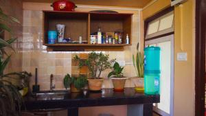 a kitchen counter with potted plants and a sink at Bethany Homestay in Kalimpong